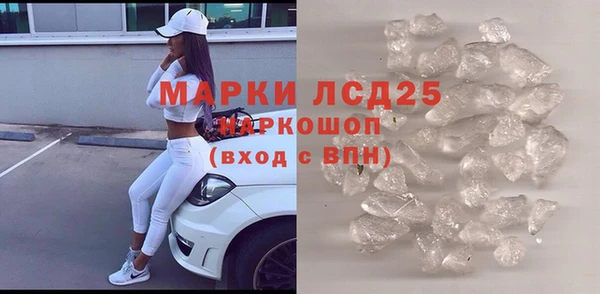ECSTASY Горняк