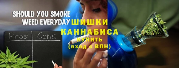 ECSTASY Горняк