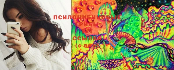 прущие крисы Горнозаводск